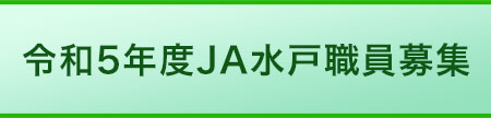 採用情報