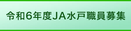 採用情報