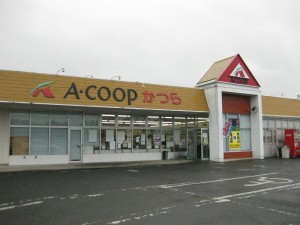 Aコープかつら