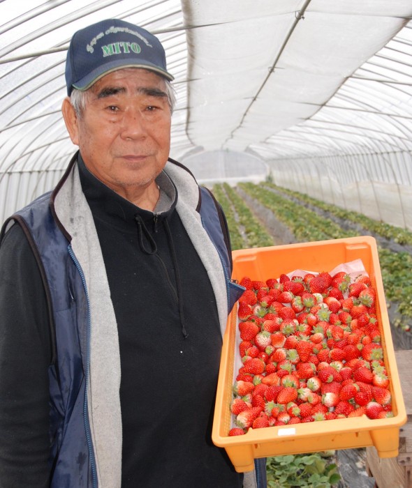 自慢のイチゴを手にする江橋部会長