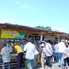 茨城地区農産物直売所「さくら」