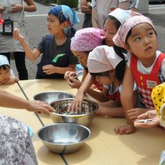 味噌汁に使用する煮干しの処理