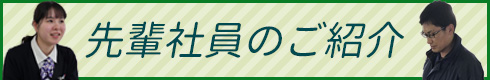 先輩社員のご紹介