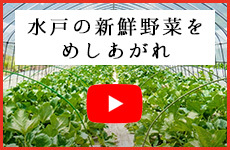 水戸の新鮮野菜をめしあげれ